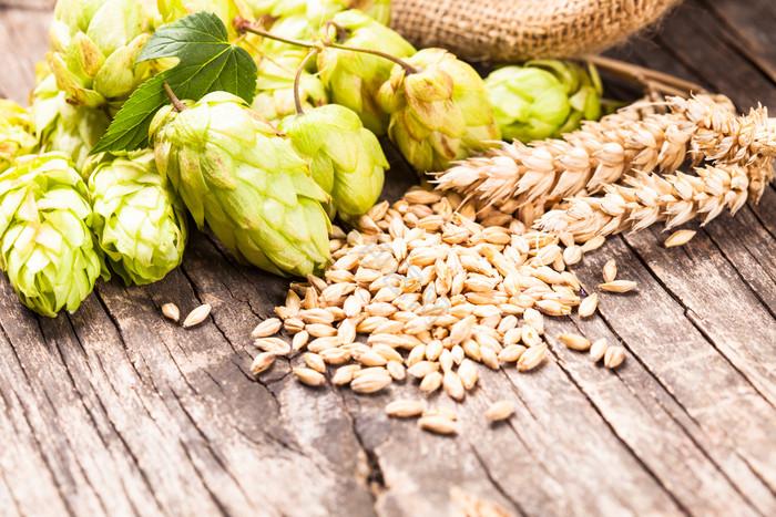 <b>Essential Brewing Equipment for Sorghum Beer Production</b>